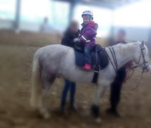 reiten auf prinz